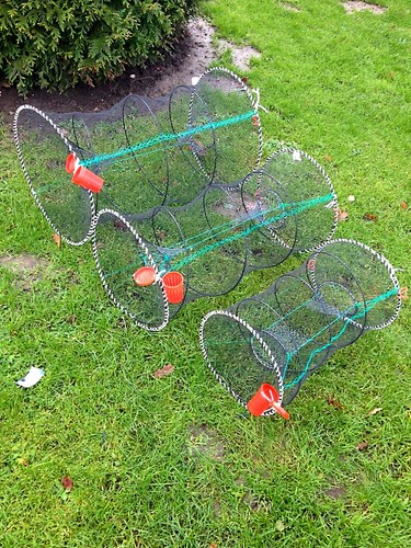 Fish trap eel - fish-trap,eel, reuse,cancer