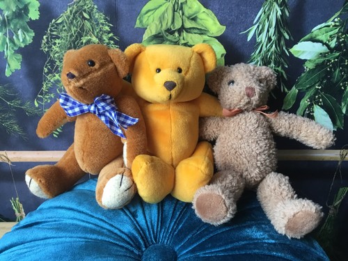 Trio teddy bears by all - teddy,