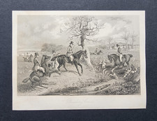 Antique 1843 Print - Fox