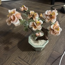 Bonsai Tree, Jade Cherry