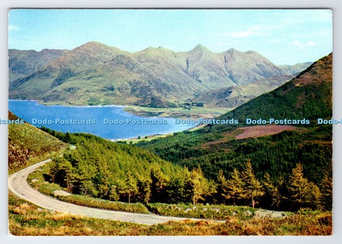 D335919 scotland wester - d335919,