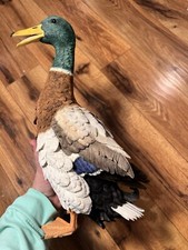 Country Artists Mallard Duck