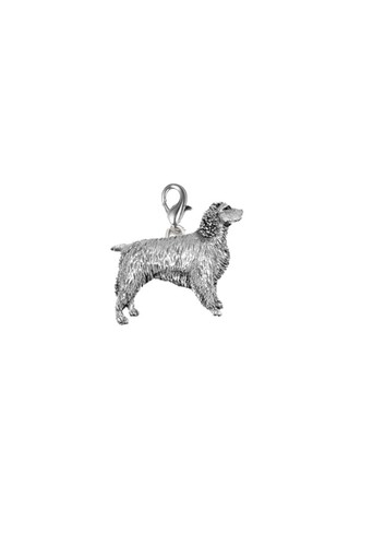 D11 springer spaniel - springer, a