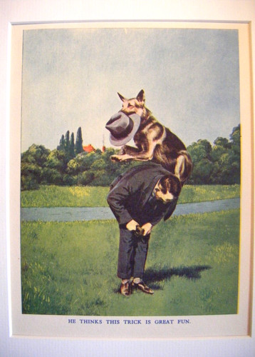 Vintage alsatian print 1940 - vintage, 1940's