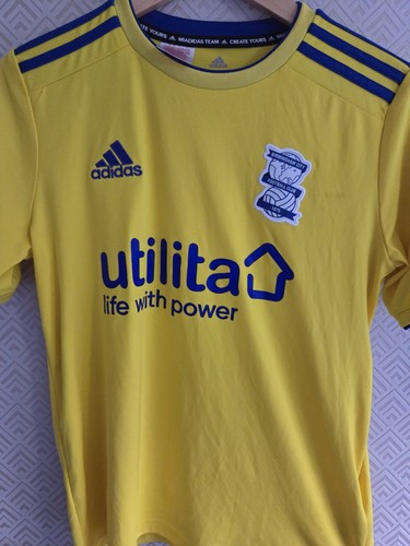 Birmingham city 2018 2019 - city, 2018-2019
