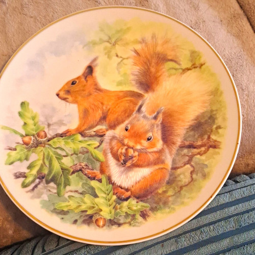 Nbj china red - nbj, squirrel
