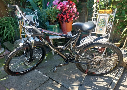 Curtis adult bike excellent - |,