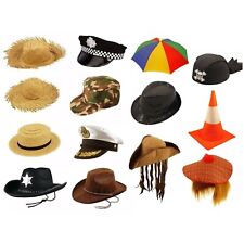 Hats Fancy Dress Costume