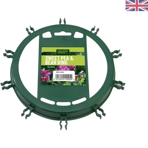 N505 green sweet pea bean - n505,