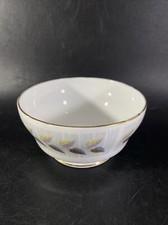 Royal Standard Paragon Olympus