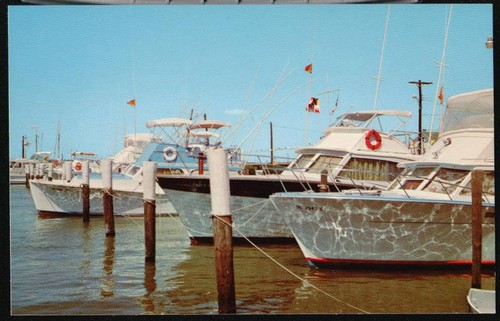 Ocean city deep - ocean, sea
