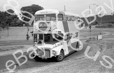 Bus Negative & Copyright