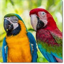 Doodlecards Happy Birthday