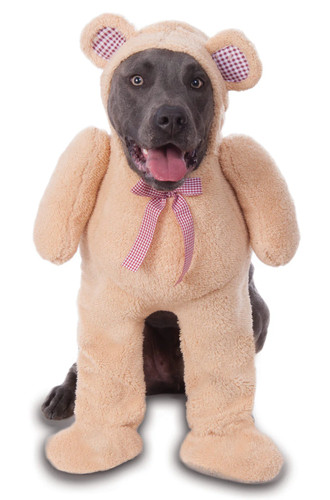 Walking teddy bear - walking, dog