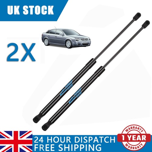 Tailgate boot gas struts - tailgate,