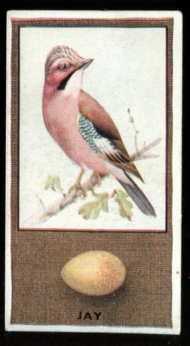 Tobacco card godfrey - tobacco,