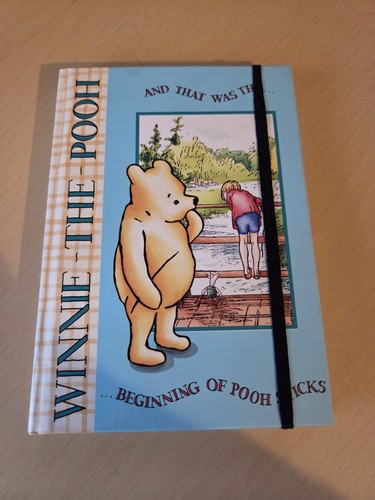 Winnie the pooh notebook - winnie,