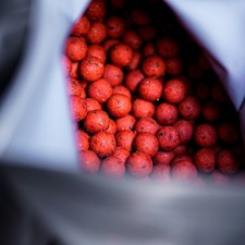 King Crab 14mm 5KG - Boilies -