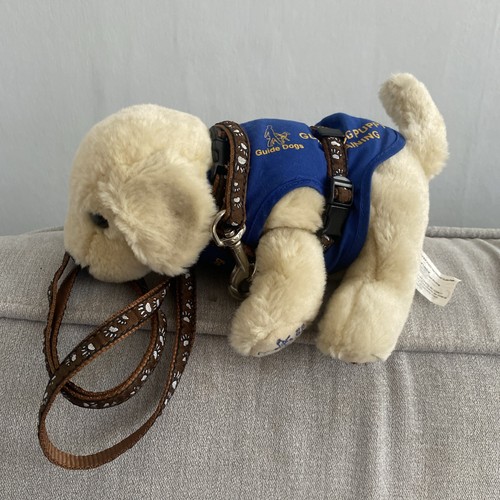 Andrex puppy guide dogs - puppy, in