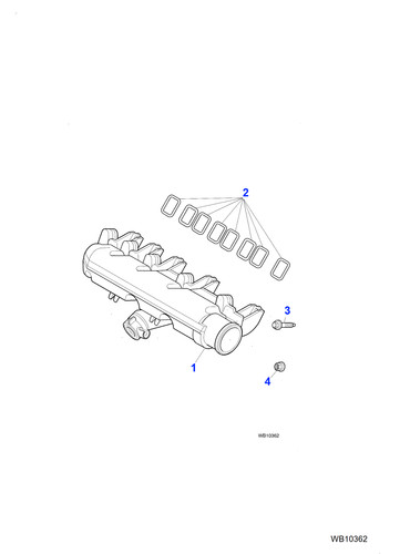 Jaguar genuine hexagonal head - genuine,