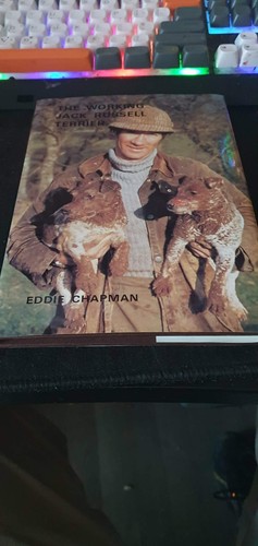 The working jack russell - jack,