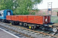 PHOTO  AN UNKNOWN BR