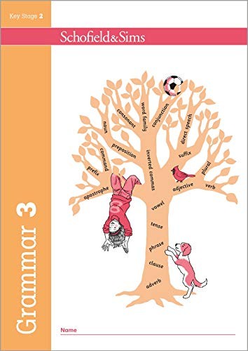 Grammar and punctuation book - grammar,