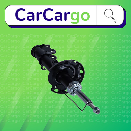 Front left shock absorber - front,