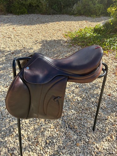 Absolutely gorgeous equipe - absolutely,