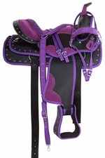 Western Pleasure Trial Horse