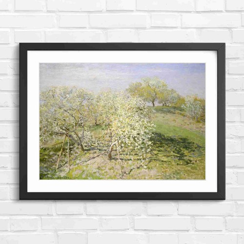 Blooming orchard trees spring - trees,