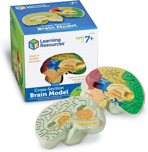 Learning resources - learning,