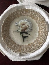 Diana rose everlasting - rose,