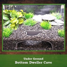 Underground Cave Aquarium