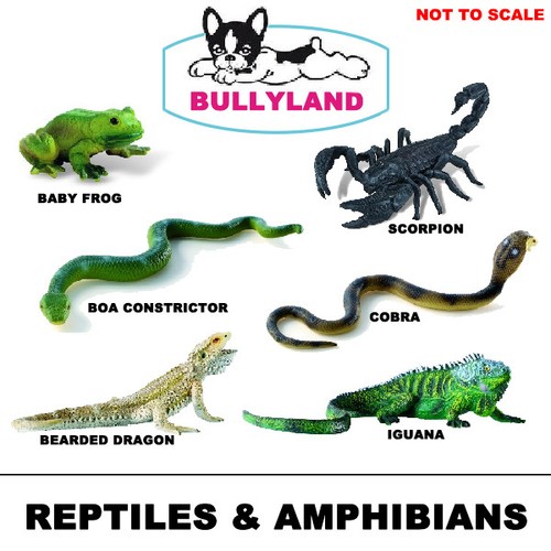 Reptile and amphibian toy - amphibian,