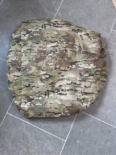 Reptilia chameleon camouflage - reptilia,