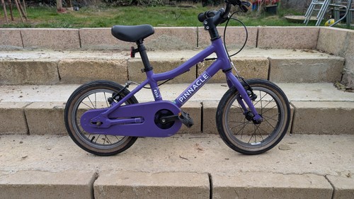 Pinnacle koa kids - pinnacle,