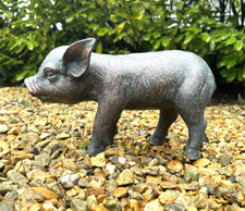 Piglet Pig Garden or Home