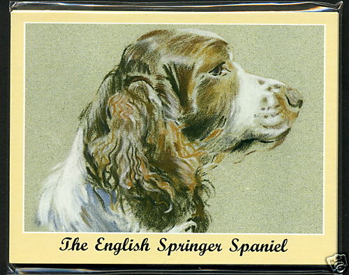 The english springer spaniel - the,