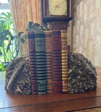 Orthoceras Straight Horn Fossil Heavy Bookends 