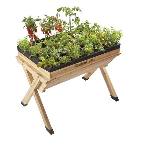 Raised wooden vegetable - raised,