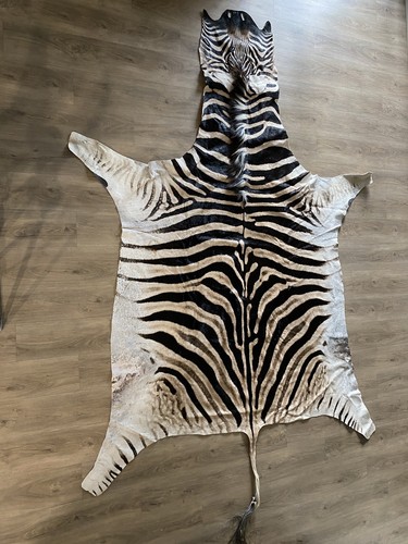 Zebra real skin - zebra, hide