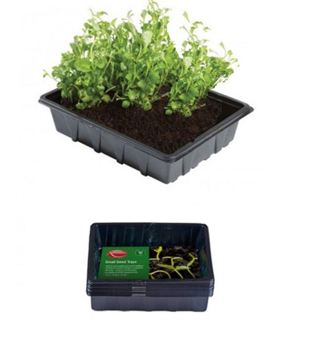 Small seed trays half - 10,