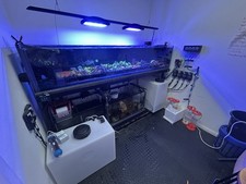 Custom Tank, (Aquariums4life)