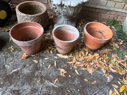 Garden ceramic plant pots - 3x,