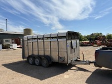 14ft Ifor Williams Cattle