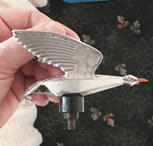 Chrome snipe bird - chrome,