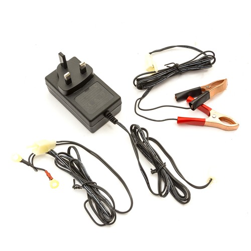 Intelligent 12v amp car - 1,