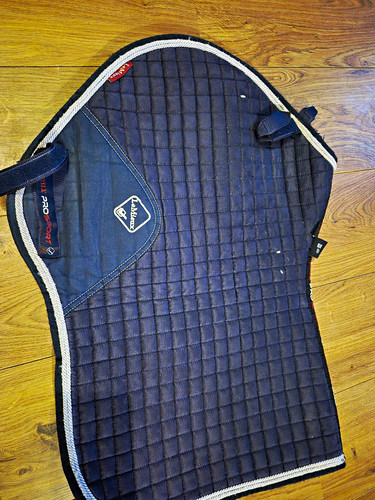 Lemieux prosport navy - lemieux,