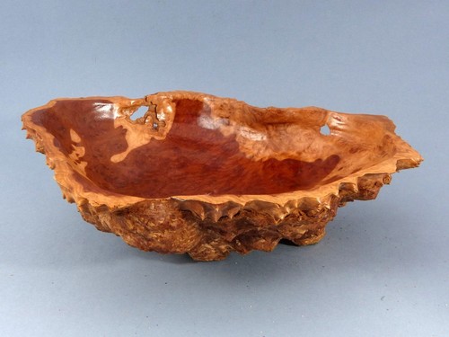 Tree root turned - tree, bowl